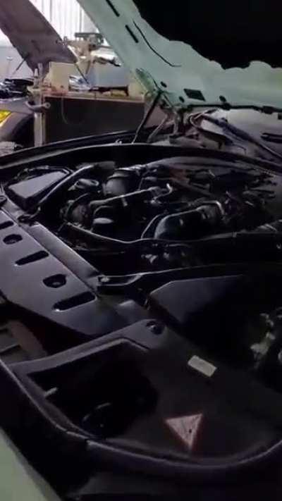 You guys wanna hear a knock knock joke?