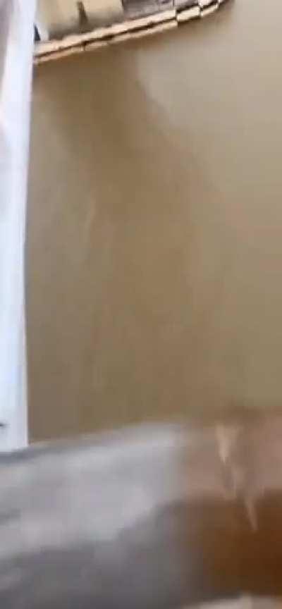 Wordington wildlife activist 