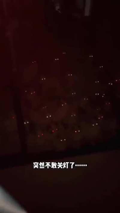 Cute cats to nightmare with just a flick of switch