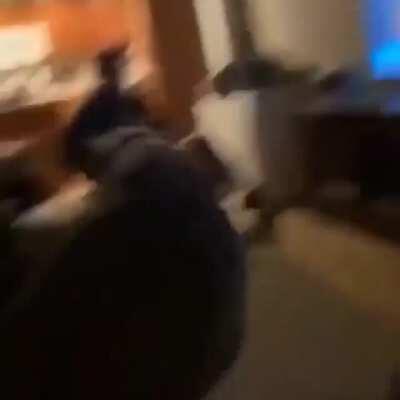 *inserte frase ingeniosa*