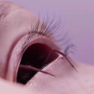 Thanks, I hate spider eyes (by @thomas_berard_)