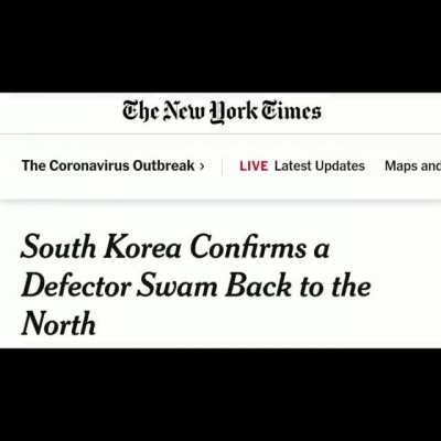 DPRK is axually holsom guys 💯