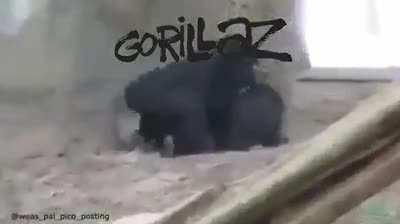 mi pana el Murdoc 👌😎😎