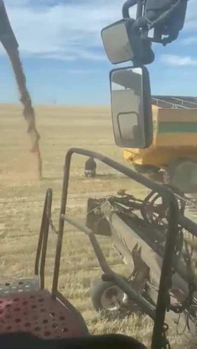 Oh well, dumping sucks.