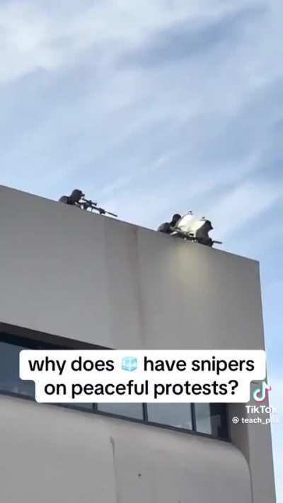 CzechCoconutCommunity