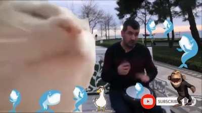 'Cause what does it matter what the old folks say, when you're all busy dancing dancing to and fro.