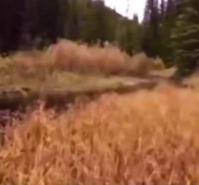 What name is he fucking