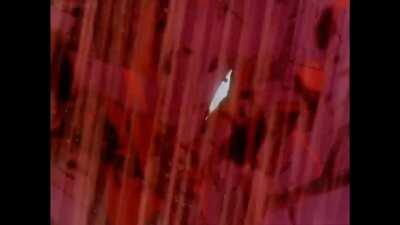 I was watching Evangelion for the first time and i thought this would look cool