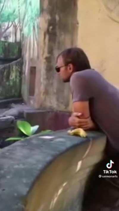 I found Blaze in his natural habitat