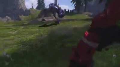 I was so sure that I escaped