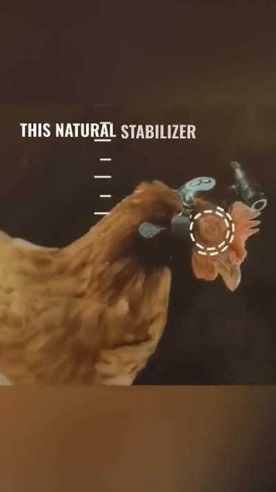 An answer to camera shake