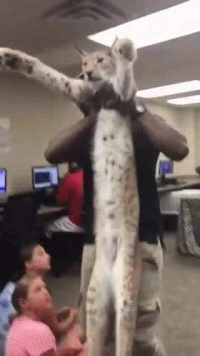 looooooooooooooooooooooong