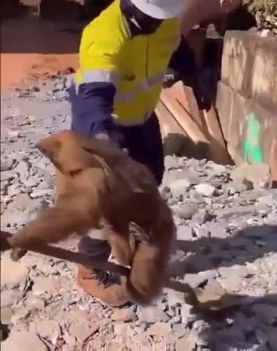 Always make a successful exit