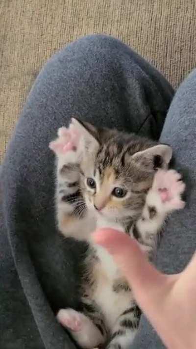 This criminal is so bad she's practicing her surrender technique!