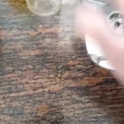 Talvez eu fiquei convencido