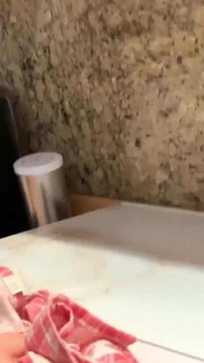 Daily Dose of Explosions