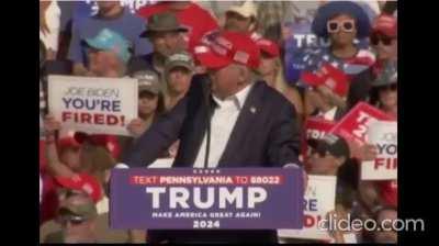 Too soon? (Better with sound)