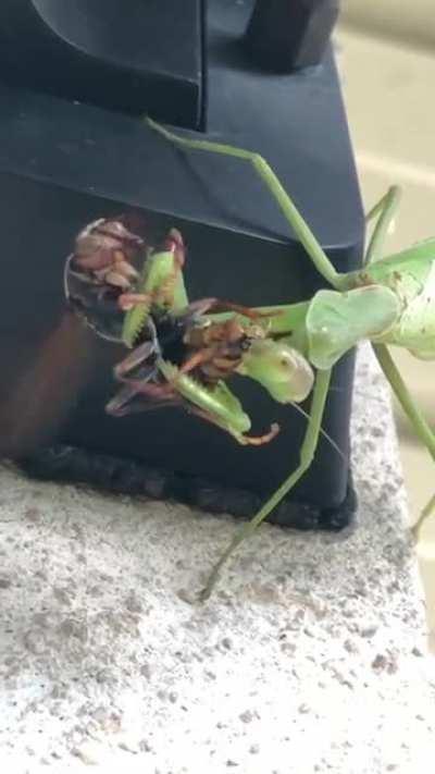 damn nature, you scary!