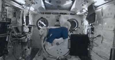 this doggo just floating in zero gravity