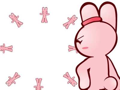 bunny animation test