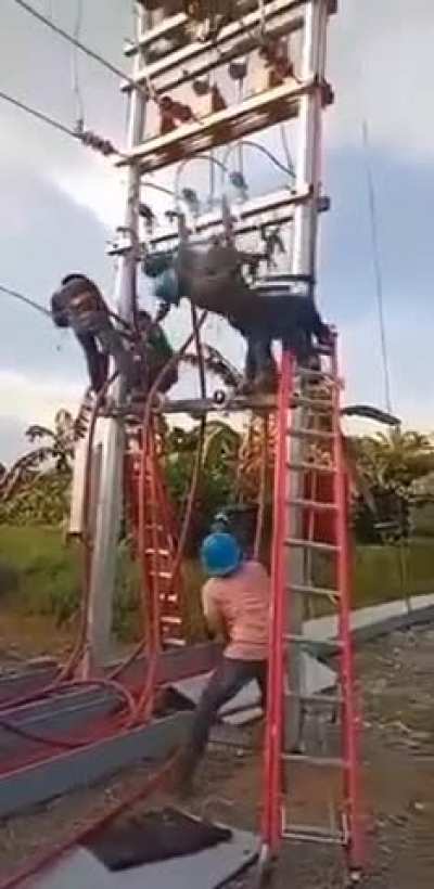 Indian Electric Company