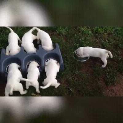 Table for six, table for one