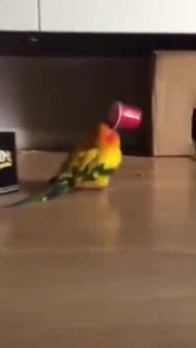 Сервопривод заклинило