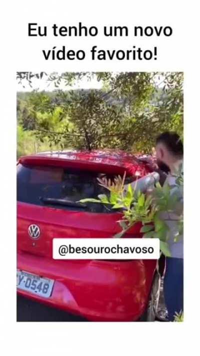 brasilivre - Video #4513