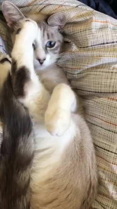 Why are the wall closing in on me....?