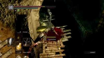 Dark souls 2 fucking sucks, look at that artificial difficulty the devs made by adding a bunch of mobs everywhere, so lazily done, clearly a game made without miyazaki's vision and intent