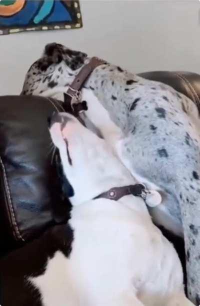 Oh, so you wanna play huh?