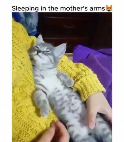 Sleep in the Mother's Arms