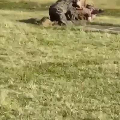 Не подскажите что за войска?