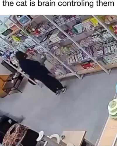 Wunk has no brain... His ass IS the brain!