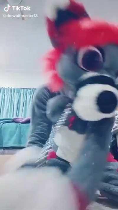 You ever got fucked so hard by a furry you got a concussion?