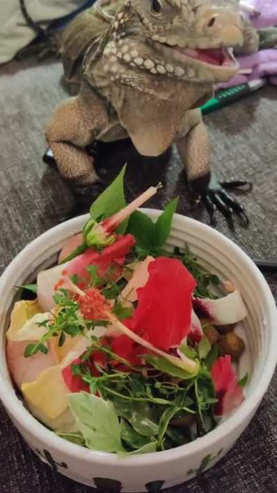 He has some criticisms for this meal.