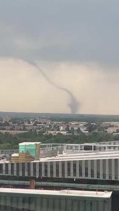 Spotted from Anschutz