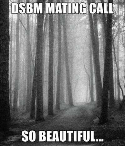 Brings a tear to my eye 🥲