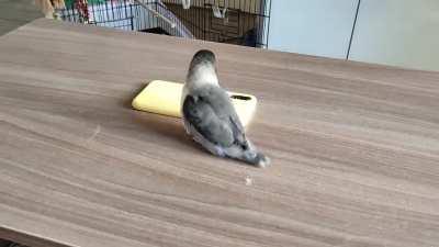 He doesn't let me touch his music machine.