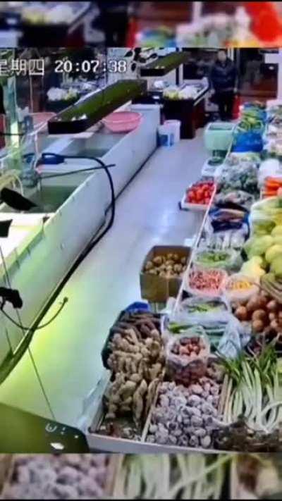 Who's the real animal here?