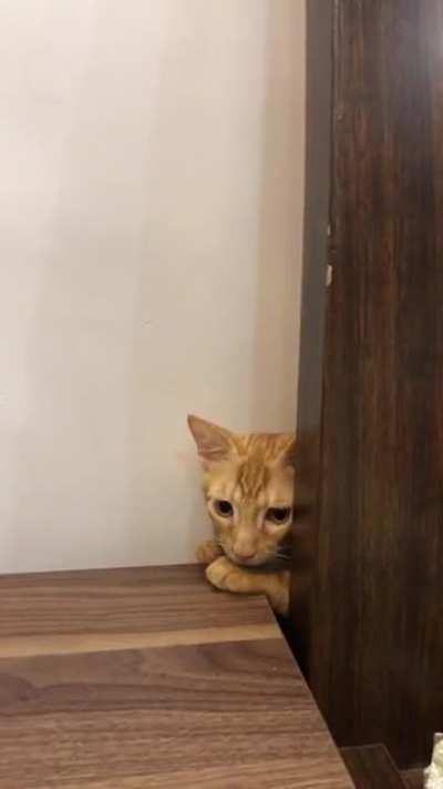 Trying to escape thunderstorm