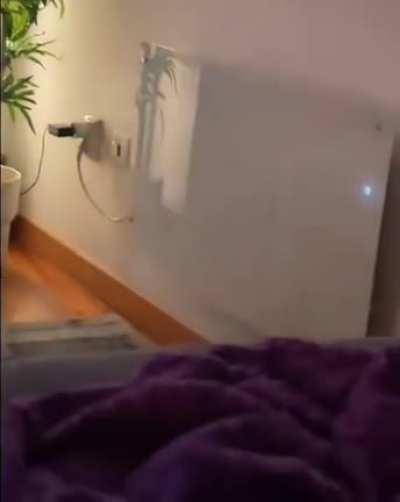 How to make biscuits