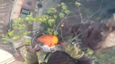 Guy cutting tree gets BURNED. Entire Tree Catches on FIRE while cutting it in the air.