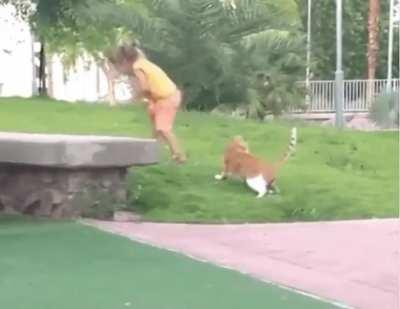 Instant Justice Karma Served