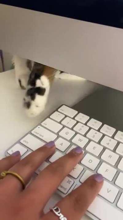 When your coworker wants attention