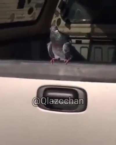 Triste momento sad papus