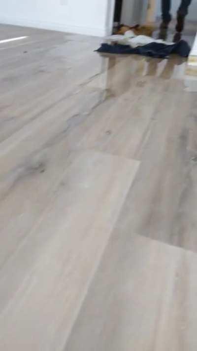 Moved 700mi away. 1st day in our new apt.