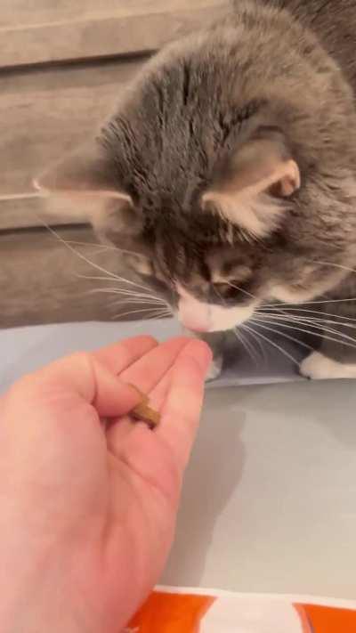 Where’s my treat??