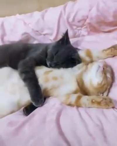 Accurate clip of me sleeping with my bf 🥰
