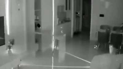 this black and white footage of a cat on top of tall roomba at nighttime